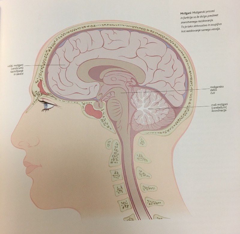 1 YhSkYRjx2OMyOVGYDfTKEQ