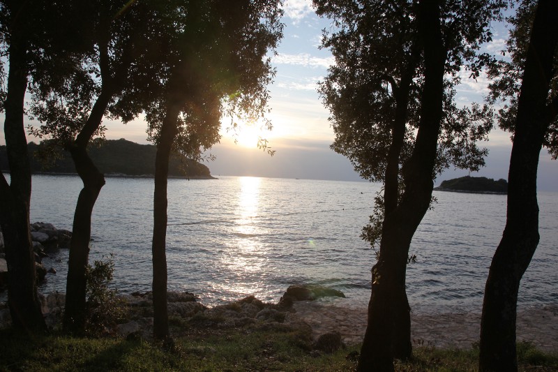 1 iDJxwiExDoaDYrPnCpcXYA